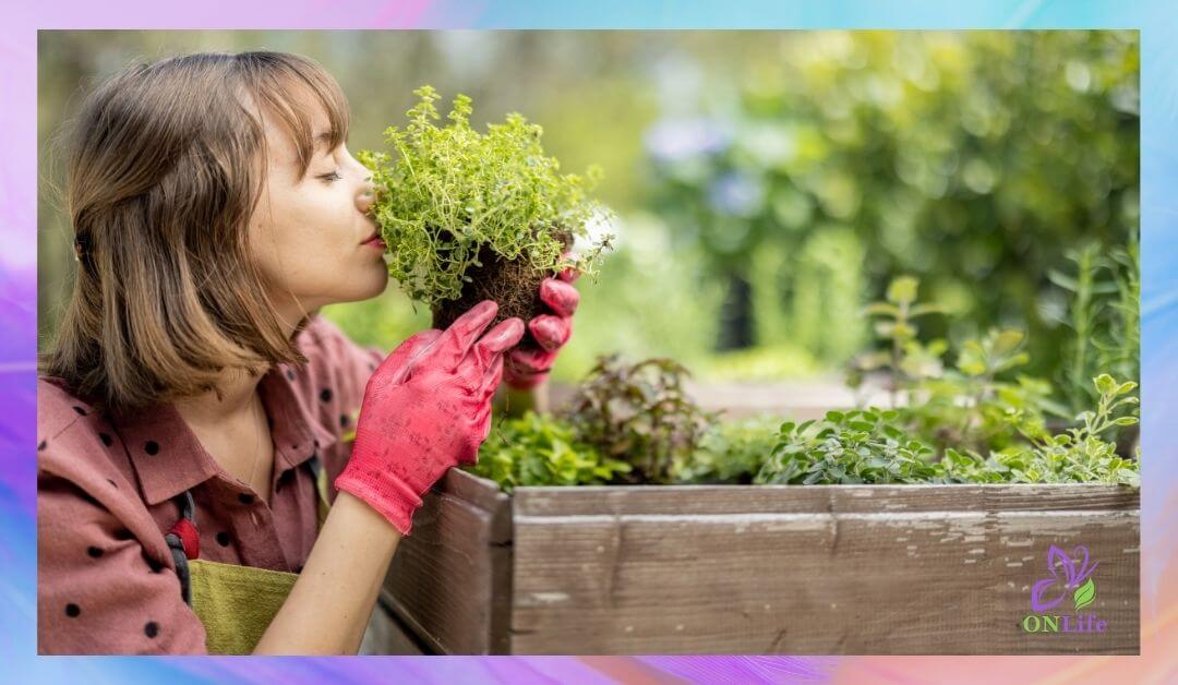 Защо да имам домашна зеленчукова градина: Ползи за здравето и душата