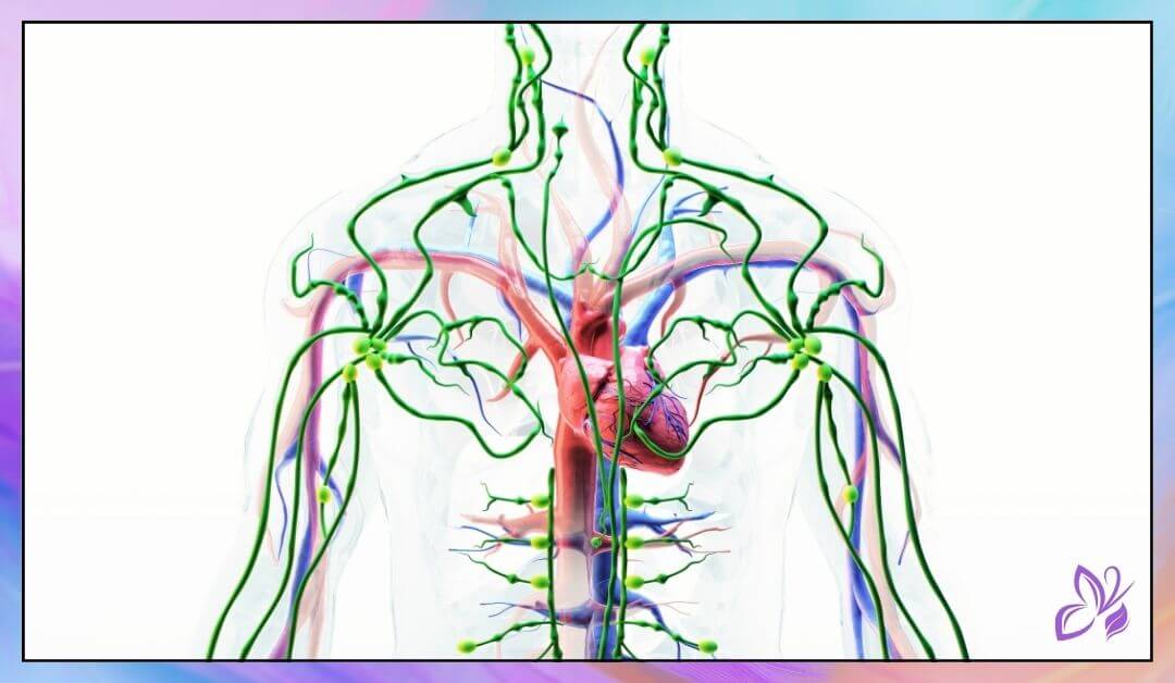 Как да поддържаме лимфната система здрава: Съвети за детоксикация и баланс